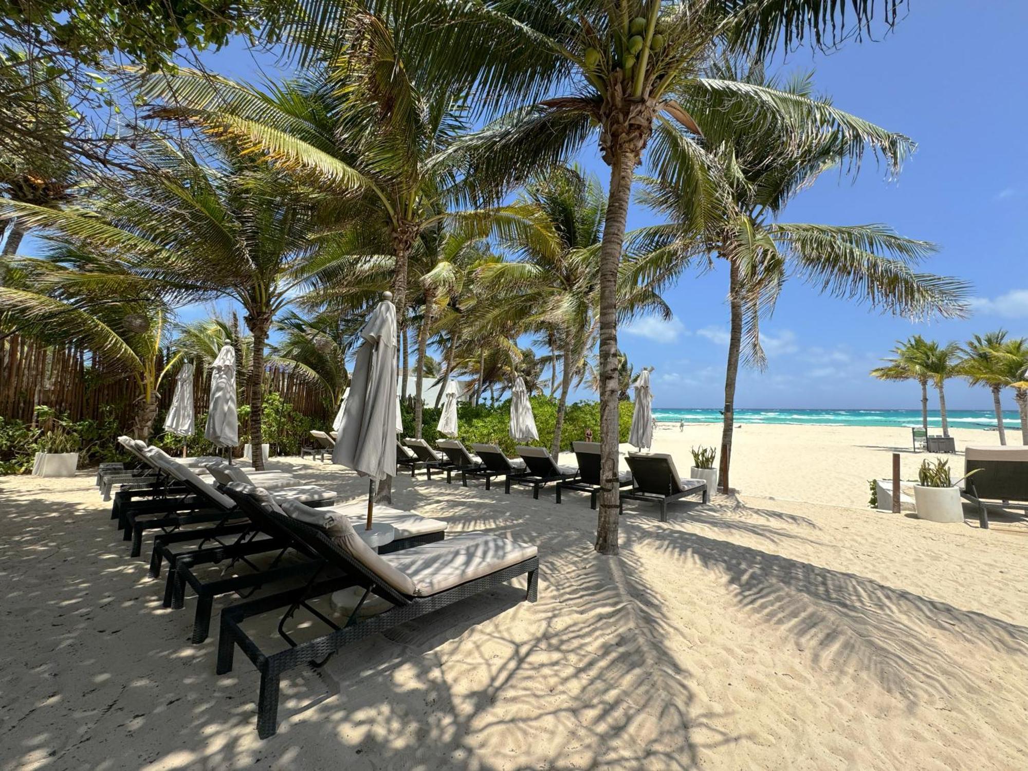 The Reef Playacar Beach Resort & Spa Playa del Carmen Exterior photo